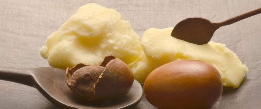 Nilotica Shea Butter - 8 oz image